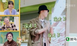 李诞家保姆爆料外星人视频